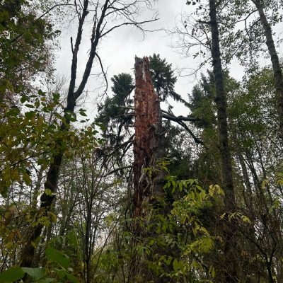 463241185_571403378890714_5707880198175896099_n